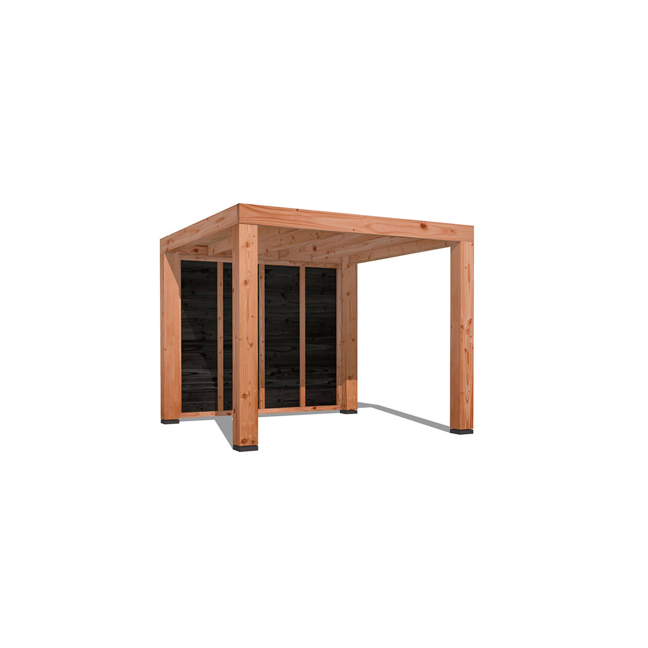 Douglas Overkapping Strak 3x3m. | Type 12